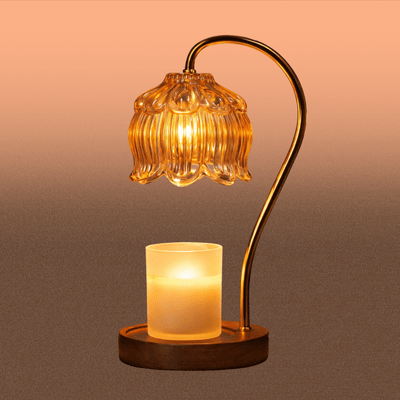 Autonomic Nervous System Care - Relaxing Sounds to Unwind Accumulated Stress - Front Cover