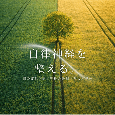 Regulates the autonomic nervous system. ~ Ultimate sleep and recovery to relieve brain fatigue Front Cover