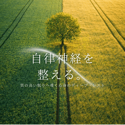 Regulating the autonomic nervous system ~ Deep rest for the mind and body leading to quality sleep Front Cover