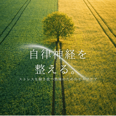 Regulating the autonomic nervous system ~ Self-care for deep sleep that releases stress Front Cover