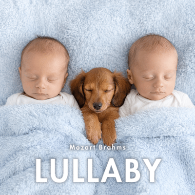 Baby Lullaby: Tender Piano Lullabies and Natural Sleep Support for Baby Sleep Musicのジャケット写真
