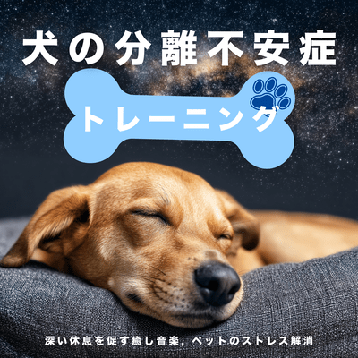 Dog Separation Anxiety Training - Deep Sleep & Rest Music for Dogs, Pet Stress Relief Front Cover