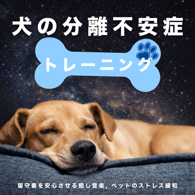 Dog Separation Anxiety Training - Relaxing Music for Staying Home Alone, Pet Stress Relief Front Cover