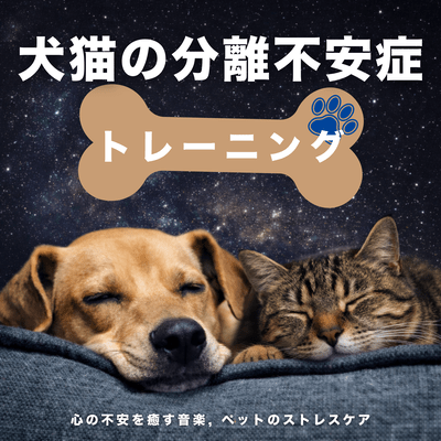 Dog & Cat Separation Anxiety Training - Soothing Music for Anxiety, Pet Stress Care Front Cover