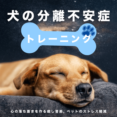Dog Separation Anxiety Training - Calming Music for Peace of Mind, Pet Stress Reduction Front Cover