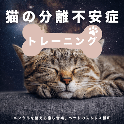 Cat Separation Anxiety Training - Mental Wellness Music, Pet Stress Relief Front Cover