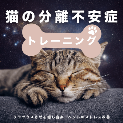 Cat Separation Anxiety Training - Relaxing Music for Cats, Pet Stress Improvement Front Cover