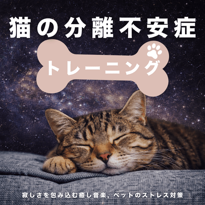 Cat Separation Anxiety Training - Comforting Music for Loneliness, Pet Stress Relief Front Cover