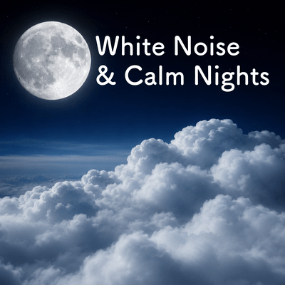 White Noise & Calm Nightsのジャケット写真