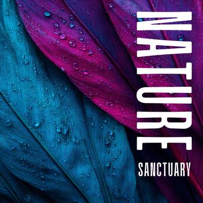 Nature Sounds (Music to Breath, Detach, Comfort, Solace and Pacify) Front Cover