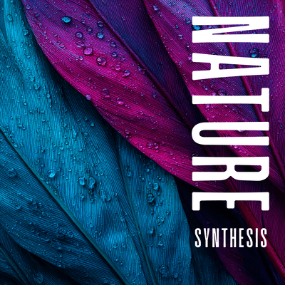 Nature Sounds (Music to Presence, Vitalize, Nurture, Calm and Flow) Front Cover