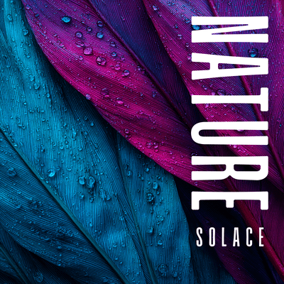 Nature Sounds (Music to Purify, Awakening, Deepen, Rest and Clarity) Front Cover