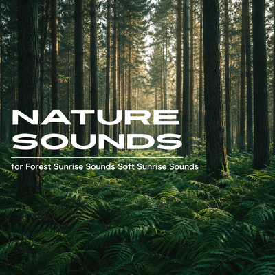 Nature Sounds for Forest Sunrise Sounds Soft Sunrise Sounds Front Cover