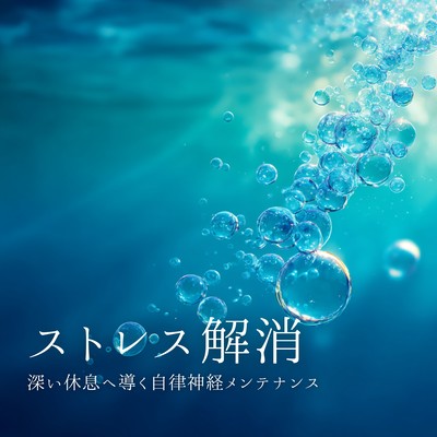Autonomic nervous system maintenance to relieve stress and promote deep rest Front Cover