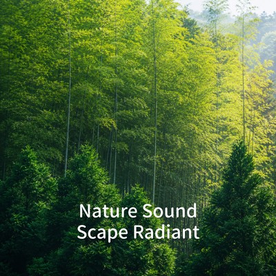 Nature Sound Scape Radiant Front Cover