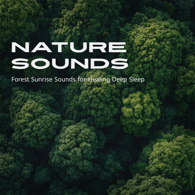 Nature Sounds Forest Sunrise Sounds for Healing Deep Sleep Front Cover