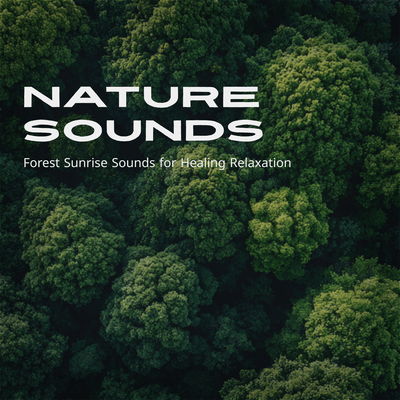 Nature Sounds Forest Sunrise Sounds for Healing Relaxationのジャケット写真