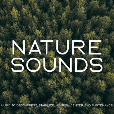 Nature Sounds (Music to Decompress, Stabilize, Nourish, Center and Sustenance) Front Cover
