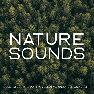 Nature Sounds (Music to Elevate, Purify, Meditative, Unburden and Uplift) Front Cover