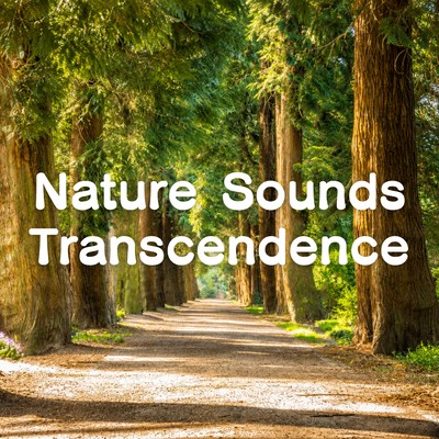 Nature Sounds Transcendence Front Cover