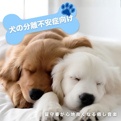 Soothing music for dogs with separation anxiety - making being left alone more comfortable. Front Cover