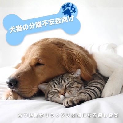 Relaxing music for dogs and cats with separation anxiety - turning waiting time into a relaxing space. Front Cover