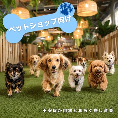 For pet shops - Healing music that naturally alleviates anxiety Front Cover