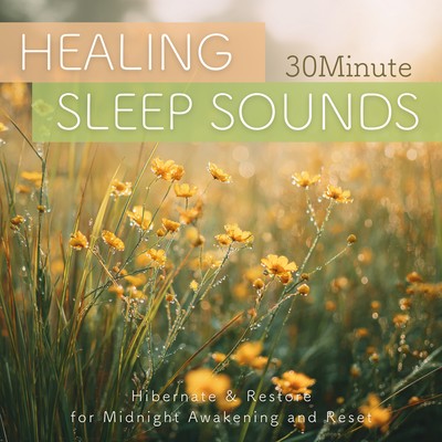 30Minute HEALING SLEEP SOUNDS Hibernate & Restore for Midnight Awakening and Reset Front Cover