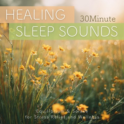 30Minute HEALING SLEEP SOUNDS Equilibrium & Solace for Stress Relief and Wellness Front Cover