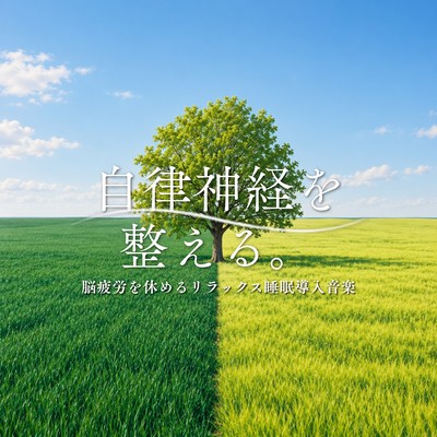 Balance Your Autonomic Nervous System. Relaxing Music for Brain Rest and Sleep Front Cover
