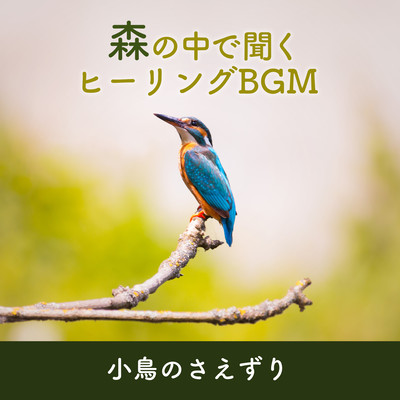 Healing music that soothes the soul with the chirping of birds in the forest Front Cover