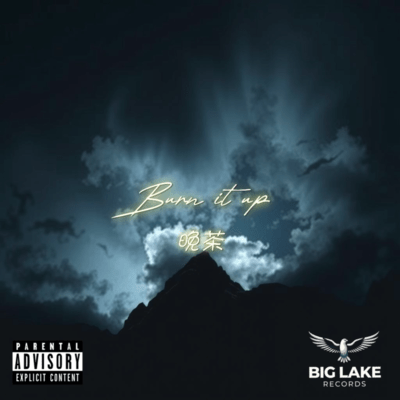 Burn it up Front Cover
