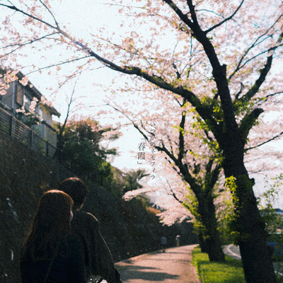 春霞のジャケット写真