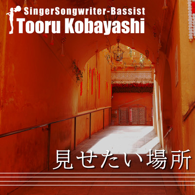 見せたい場所 (in なりやまずスタジオ)のジャケット写真