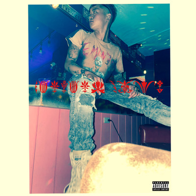 HarvardStepのジャケット写真