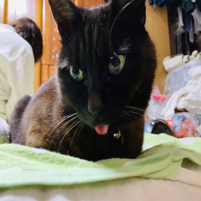 You and i (feat. Momoka Yamazaki) Front Cover