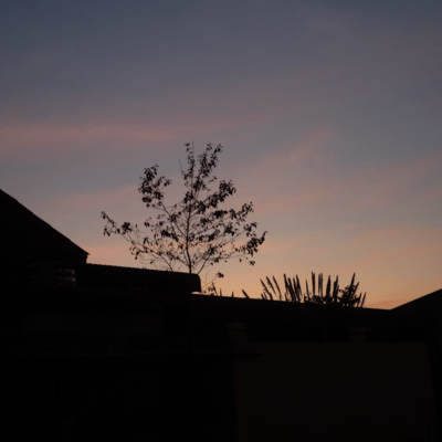 meguruのジャケット写真