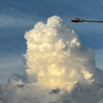 Cloud Nine (Short) Front Cover