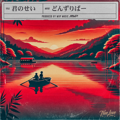 KIMINOSEI Front Cover