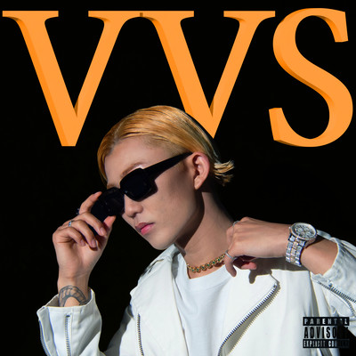 VVSのジャケット写真