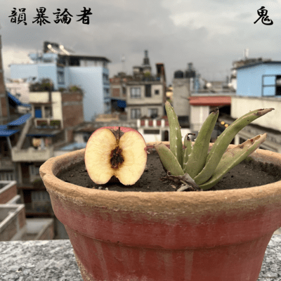 リンゴの種のジャケット写真