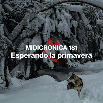 Esperando la primavera Front Cover