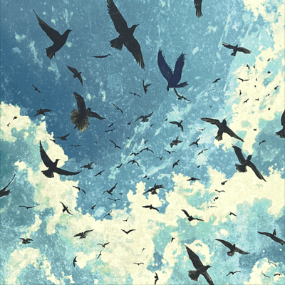 Migratory Birds Front Cover