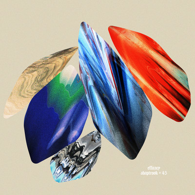 efficacy Front Cover