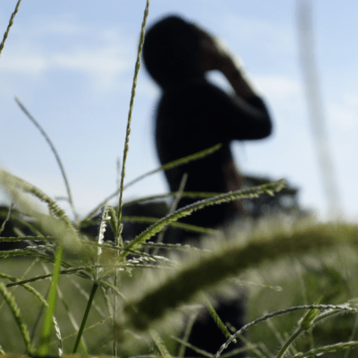 fiyaのジャケット写真