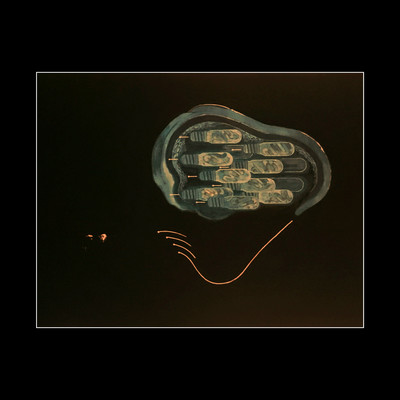 coc∞n Front Cover