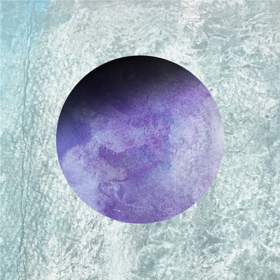 Root you Front Cover