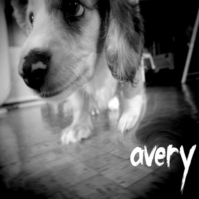 avery Front Cover