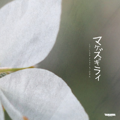 MAKEZUGIRAI (feat. chiikaman) Front Cover