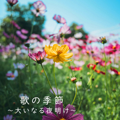 Uta no Kisetsu -Ohinaru Yoake- Front Cover